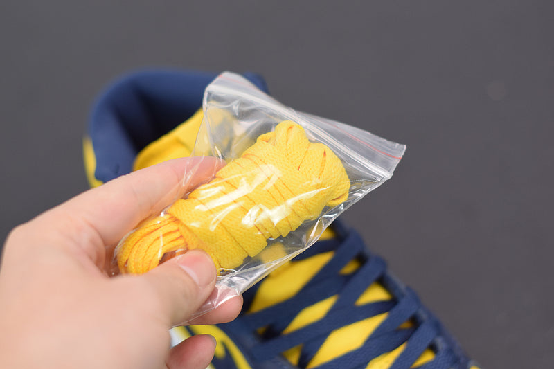 Nike Dunk High Michigan