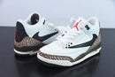 Nike Air Jordan 3 - Retro x Travis Scott