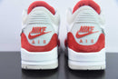 Nike Air Jordan 3 - Retro Tinker Air Max 1