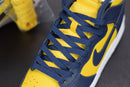 Nike Dunk High Michigan