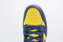 Nike Dunk High Michigan