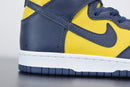 Nike Dunk High Michigan
