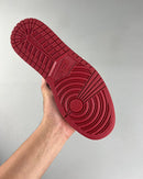 Nike Air Jordan 1 High OG "Bloodline"