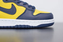 Nike Dunk High Michigan