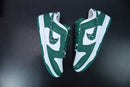 Nike Dunk Low 'Essential Paisley Pack Green'