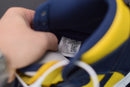 Nike Dunk High Michigan
