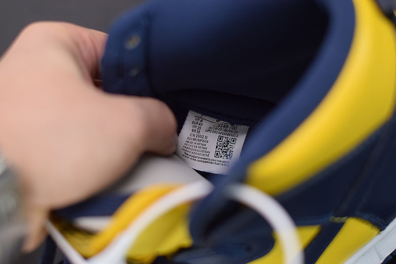 Nike Dunk High Michigan