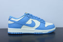Nike Dunk Low Coast
